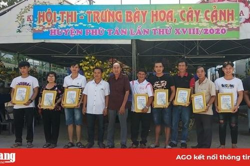 Phú Tân: Hội thi trưng bày hoa, cây cảnh