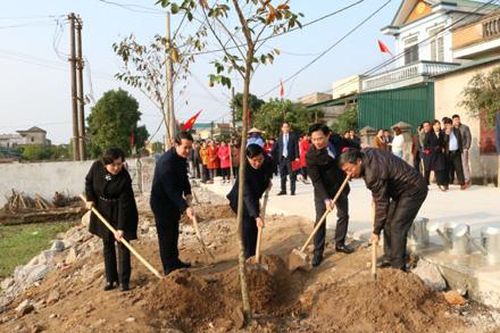 Để Tết trồng cây đạt hiệu quả thiết thực