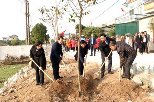 Để Tết trồng cây đạt hiệu quả thiết thực