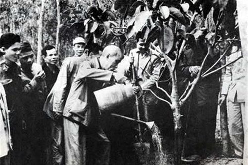 Mỗi ngày đều là 'Tết trồng cây'