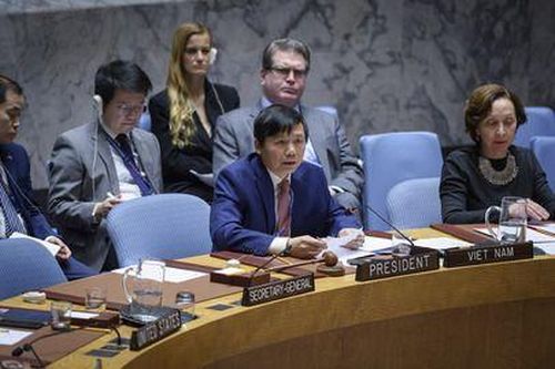 Việt Nam bày tỏ quan ngại về tình hình nhân đạo tại Syria
