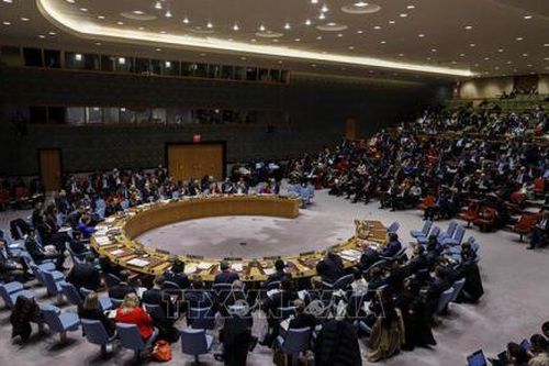Hội đồng Bảo an nhất trí kéo dài hoạt động của UNFICYP