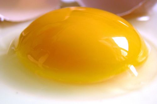 Điều gì xảy ra khi để lòng đỏ trứng bên ngoài 13 ngày?