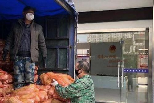 Nam ca sĩ tự lái xe chở 15 tấn rau tới Vũ Hán