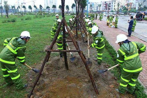 Nhân rộng phong trào trồng cây xanh
