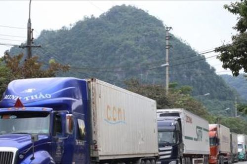 Nông sản Việt lao đao vì virus Corona bùng phát mạnh