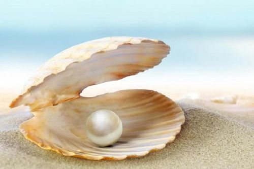 Quá trình hình thành ngọc trai trong tự nhiên