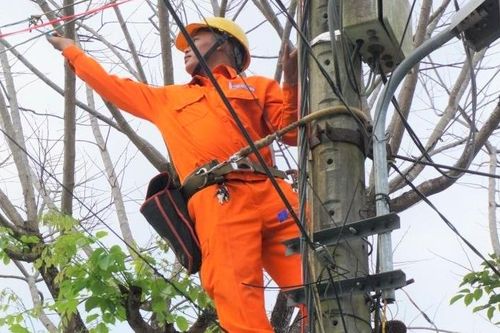 Mùa xuân và người thợ điện
