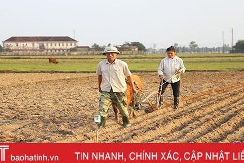 Nông dân Lộc Hà xuống đồng, bám biển, thi đua sản xuất đầu xuân mới