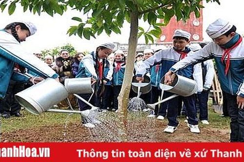 Trồng phải đi đôi với bảo vệ cây đã trồng