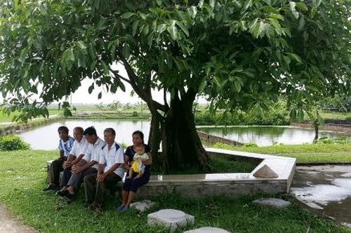 Thi đua thực hiện thắng lợi nhiệm vụ ngay từ đầu năm mới