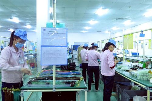 Kỳ vọng một năm thành công