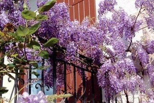 Thông gia bán đất tiền tỷ, mẹ chồng đánh tiếng đòi chia chác