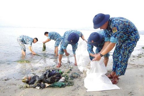 Tuổi trẻ Lữ đoàn 146 Hải quân tổ chức 'Ngày Chủ nhật xanh'