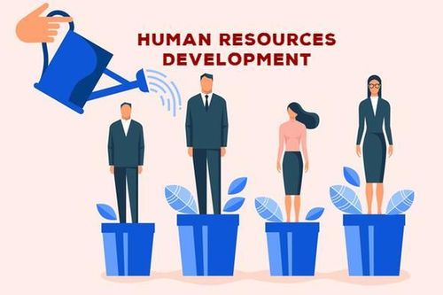 Phát triển nguồn nhân lực tại Cục Thống kê tỉnh Kon Tum