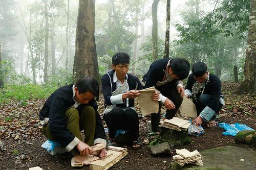 Người Pa Dí giữ rừng
