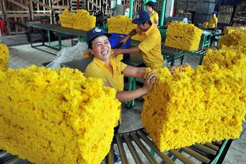Ngân lên khúc tráng ca đỏ - Phú Riềng