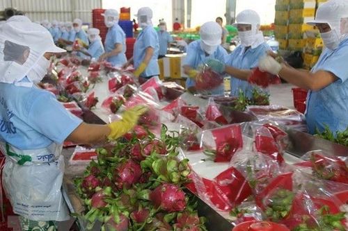 Chung tay gỡ khó cho nông sản Việt trước dịch nCoV