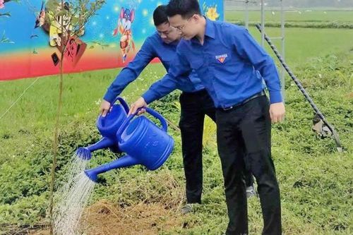 'Tết trồng cây' xuân Canh Tý 2020