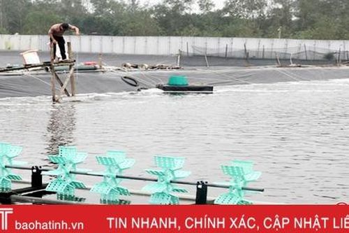 Cảnh giác với dịch bệnh trên tôm nuôi ở Hà Tĩnh trước tiết trời 'đỏng đảnh'