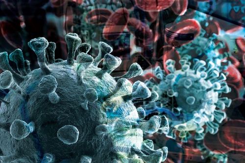 So sánh các chủng virus corona