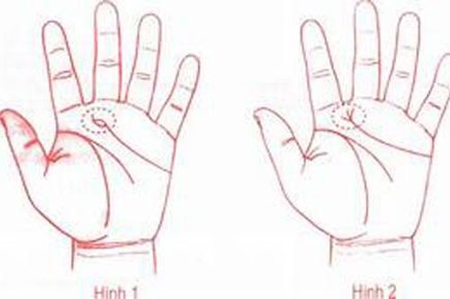 Tướng tay của người ăn may suốt đời, sinh ra đã mang mệnh phú quý, lộc lá hưởng cả đời