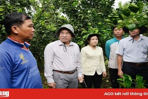 Châu Thành: Khuyến khích nông dân phát triển kinh tế trang trại