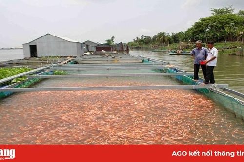 Phát triển thêm hơn 900ha nuôi thủy sản