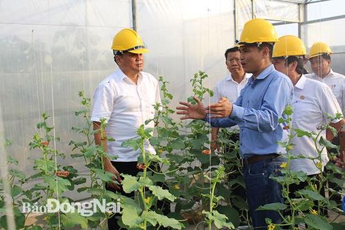 Sức bật từ nông nghiệp công nghệ cao