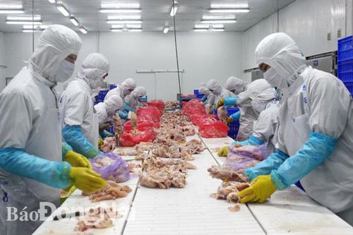 Mời gọi doanh nghiệp FDI đầu tư chế biến sâu