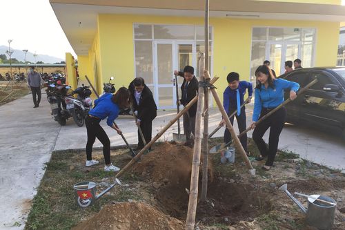 Tuổi trẻ Khánh Hòa phát động 'Tết trồng cây đời đời nhớ ơn Bác Hồ'