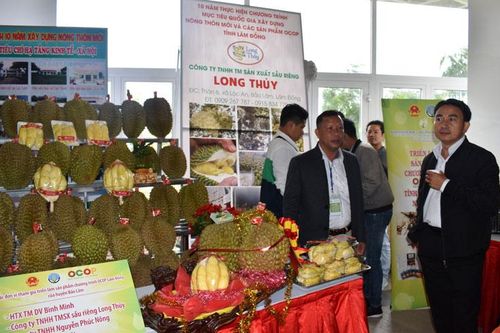 Kết nối 1.141 lượt doanh nghiệp
