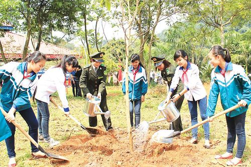'Tết trồng cây'- Bài học quý trong tư tưởng của Bác