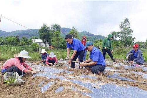 'Hạt giống đỏ' trên đất quê