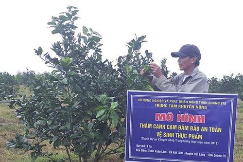 Hải Lâm phát triển các mô hình kinh tế, nâng cao thu nhập cho người dân