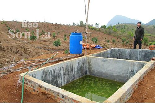 Đổi thay ở bản TĐC Quỳnh Châu