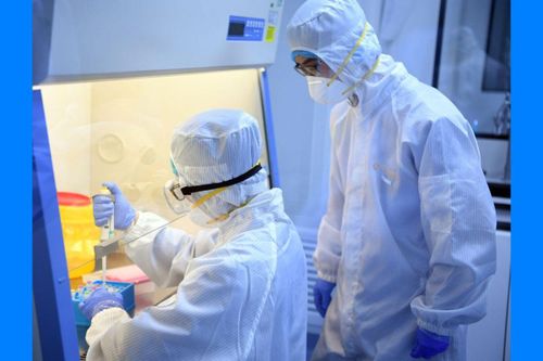 Vì sao tiến trình tạo vaccine ì ạch dù virus corona lây lan chóng mặt?