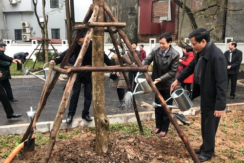 Quận Ba Đình phát động Tết trồng cây Xuân Canh Tý 2020
