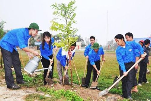 Hà Nội hoãn lễ phát động Tết trồng cây để chống dịch nCoV
