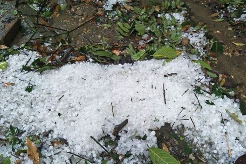 Mưa đá dịp Tết là sự kiện chưa từng ghi nhận