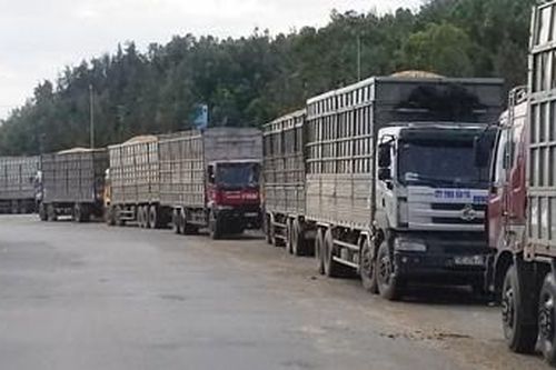Thu từ hoạt động xuất nhập khẩu giảm mạnh so với cùng kỳ