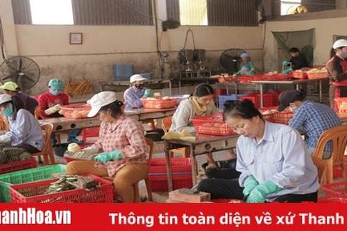 Doanh nghiệp gặp khó trong tuyển dụng mới lao động dịp đầu năm