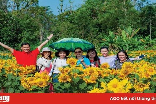 Vãn cảnh tháng Giêng