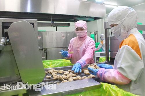 Thu hút vốn ngoại ''đổ'' vào nông nghiệp