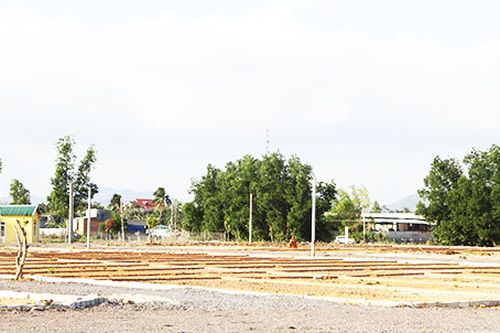Thẩm tra bảng giá đất giai đoạn 2020 - 2024