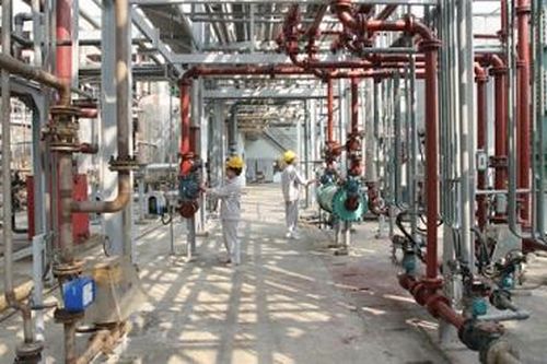 Phát huy vai trò hạt nhân lãnh đạo