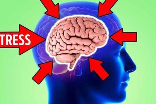 Stress có thể khiến não bạn bị teo nhỏ và đây là cách ngăn chặn