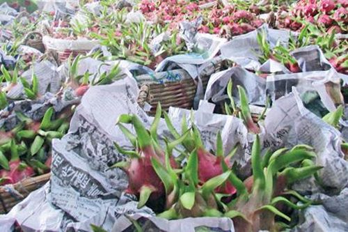 Các mặt hàng nông sản trái cây Việt 'lao đao' vì dịch virus corona