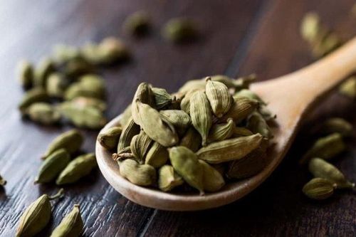 Vua Minh Mạng phát bạch đậu khấu, dạy dân đổi mồi lửa khi có bệnh dịch