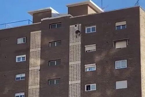 'Người nhện đời thực' tay không leo tòa nhà 11 tầng và cái kết đắng
